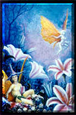Fairies_in_flowers_art_by_Ulla_Taylor.jpg (99230 bytes)