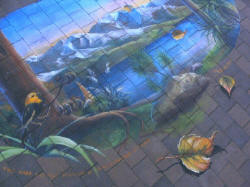 Lake Wanaka Mohua Flax 3D pavement art by Ulla