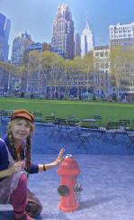 Citi Bank
